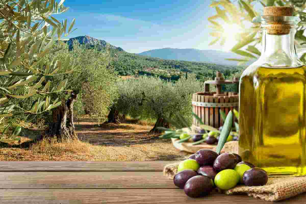 Il segreto del liquido dorato: scopri le meraviglie dell'olio extra vergine di oliva