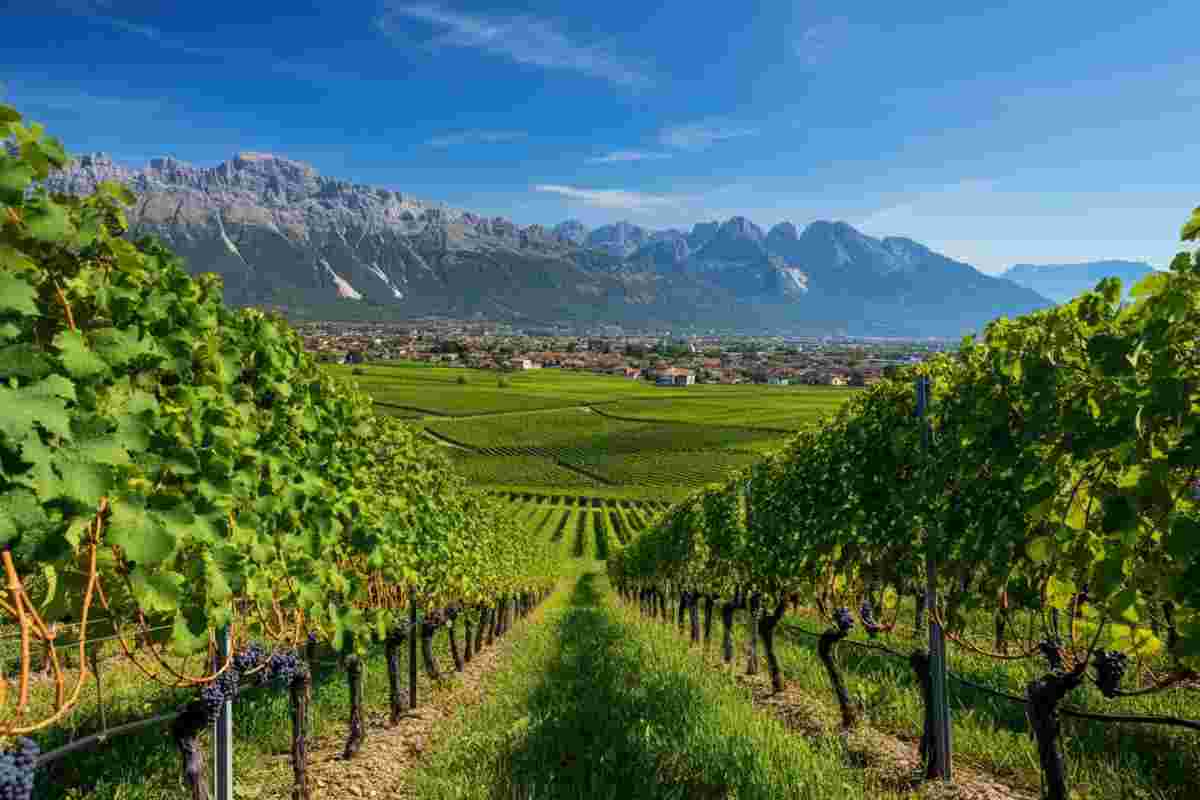 James Suckling premiato per il suo contributo alla cultura del vino in Alto Adige