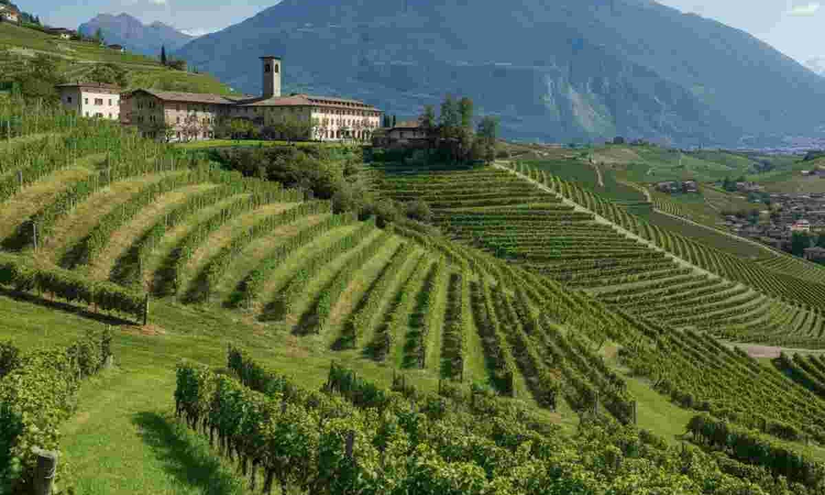 La Grazia: scoprendo la viticoltura eroica della Valtellina