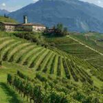 La Grazia: scoprendo la viticoltura eroica della Valtellina