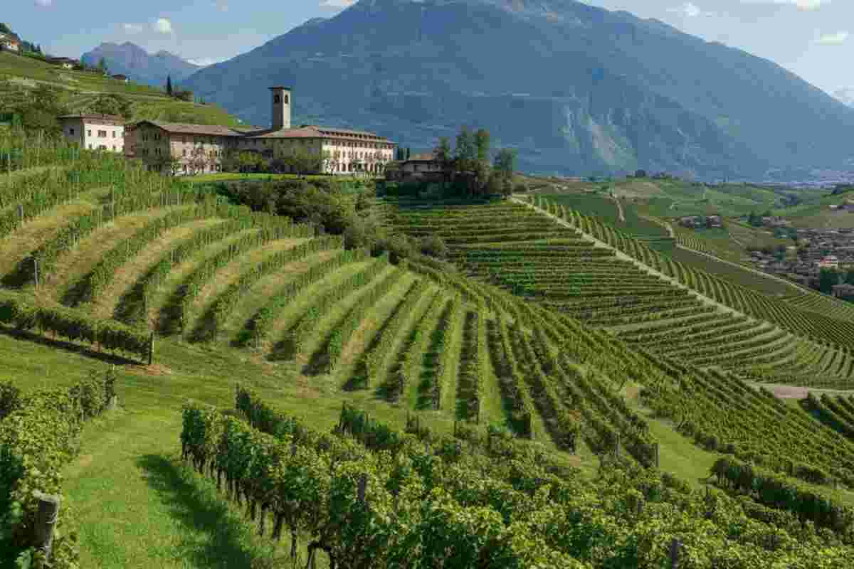 La Grazia: scoprendo la viticoltura eroica della Valtellina