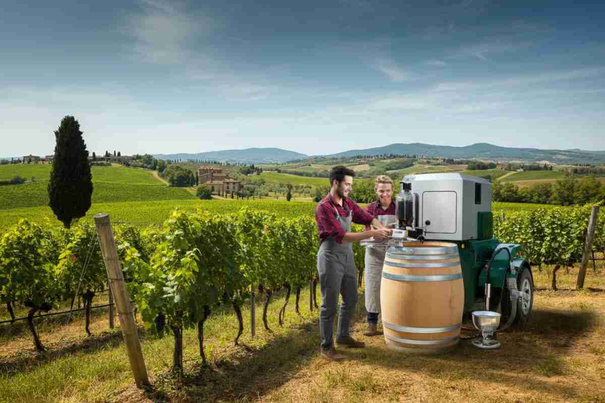 La sostenibilità: la chiave per il futuro dei giovani imprenditori del vino