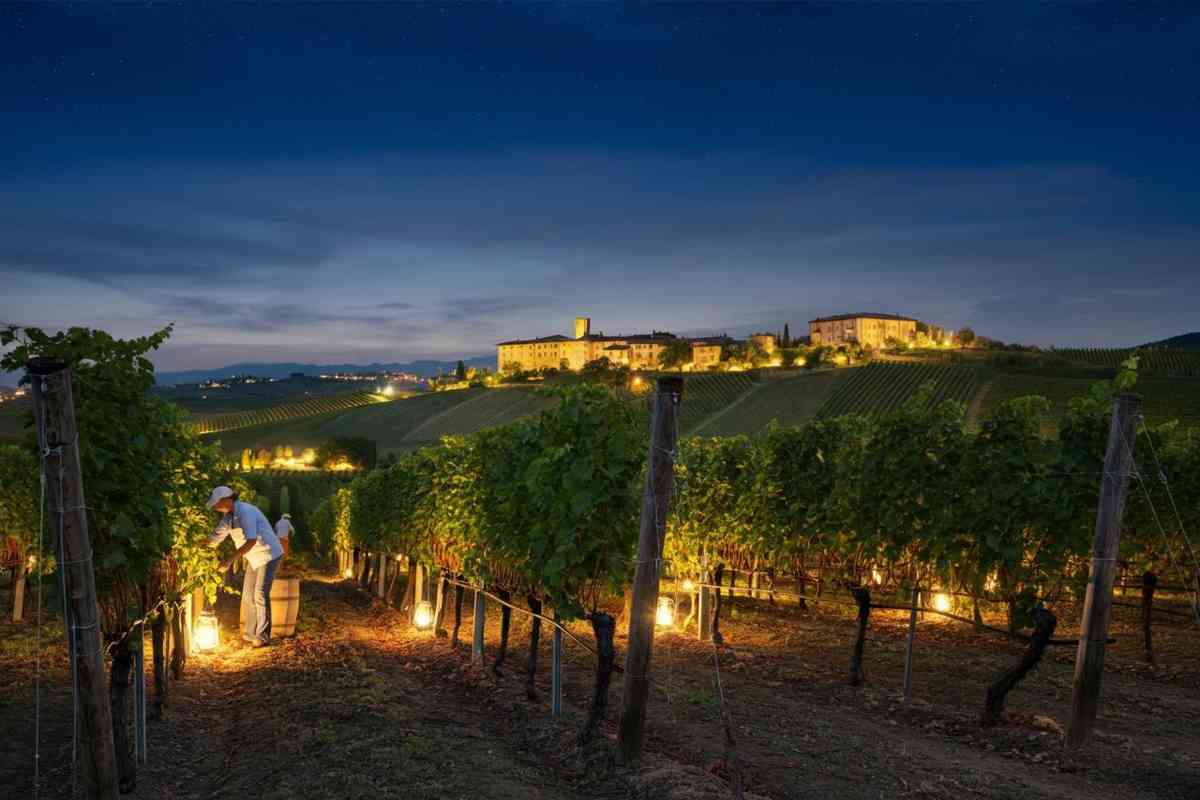 La vendemmia Montalbera 2025 promette qualità straordinaria, parola di Franco Morando