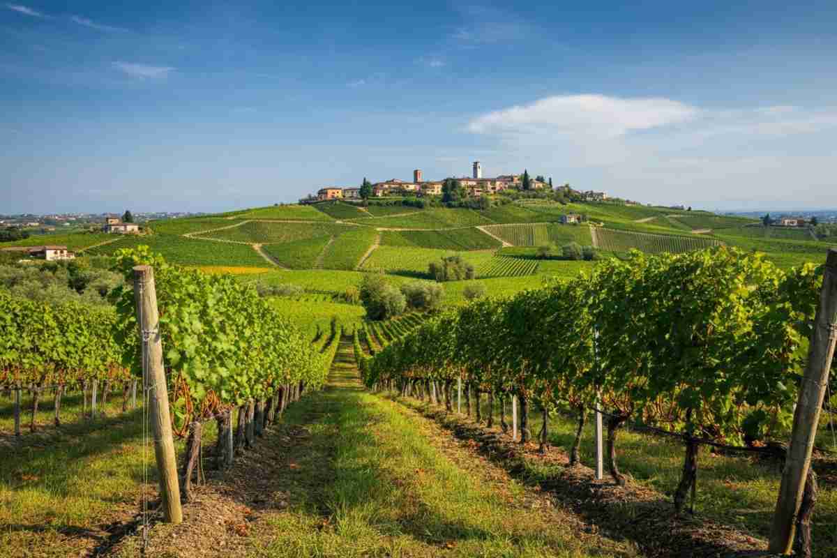 Le colline del Soave: un viaggio nel vino che conquista la Russia