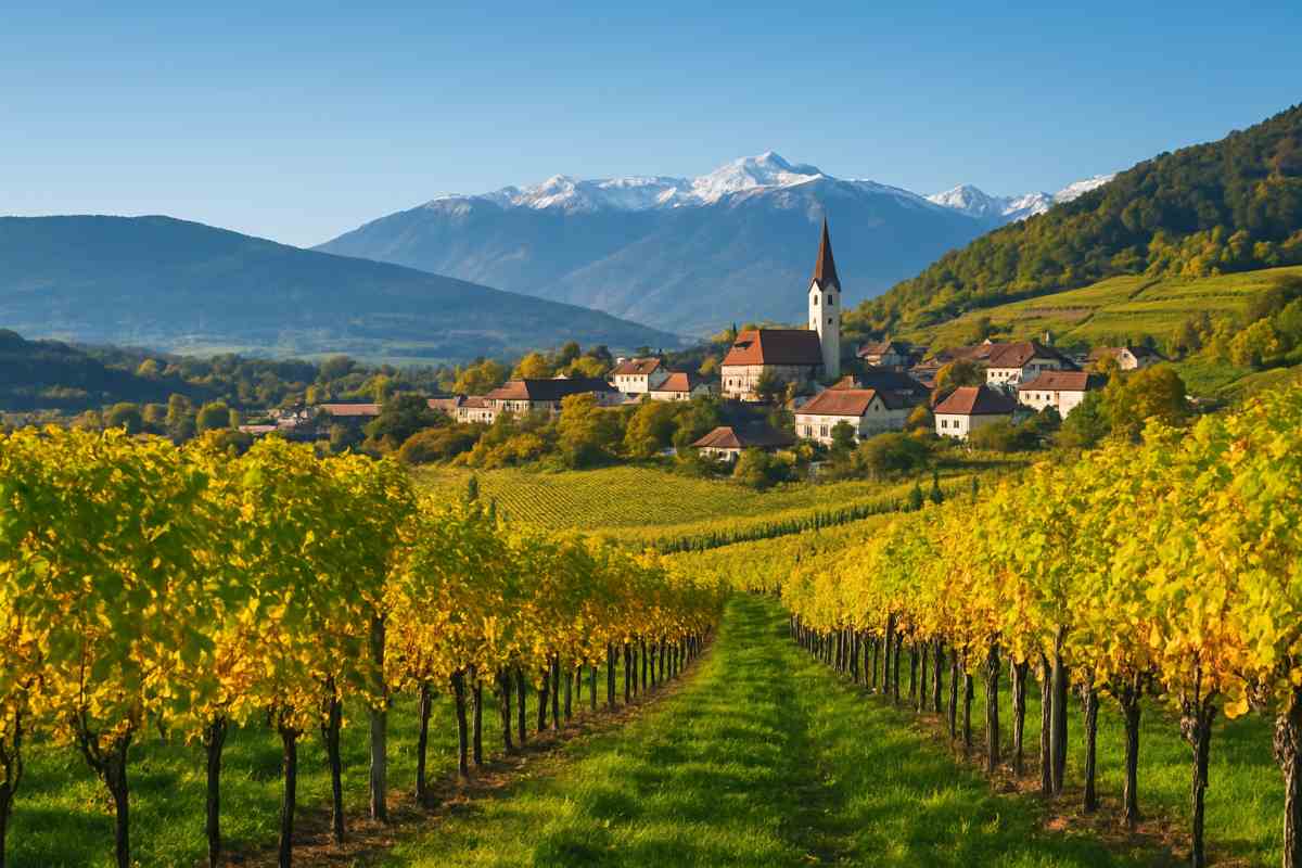 Le-nuove-capitali-del-vino