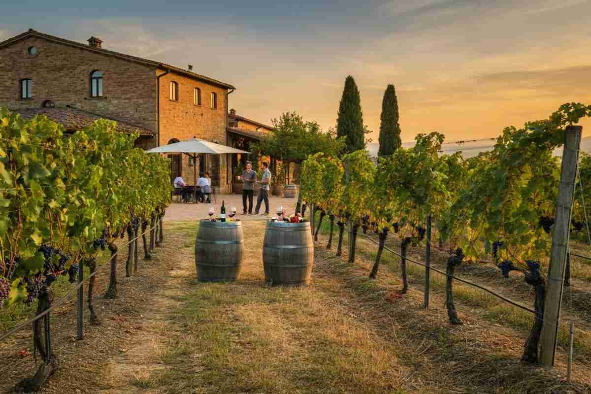 L'enoturismo in crescita: serve un testo unico e maggiore collaborazione tra associazioni