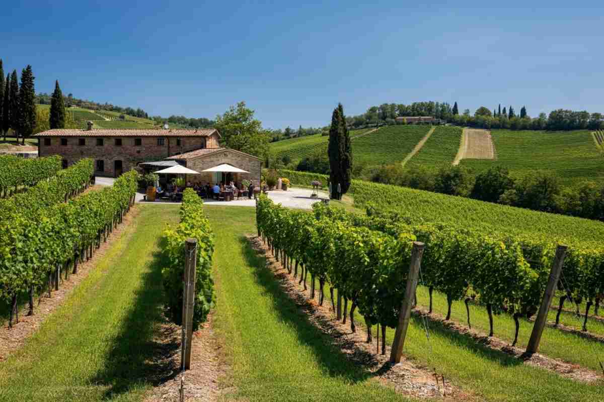 Lucio Gomiero: il globetrotter che esplora i vini dei Colli Euganei