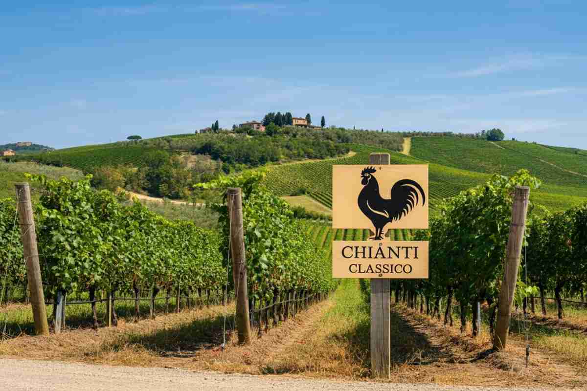 Manetti: il futuro del Consorzio Vino Chianti Classico è nelle sue mani