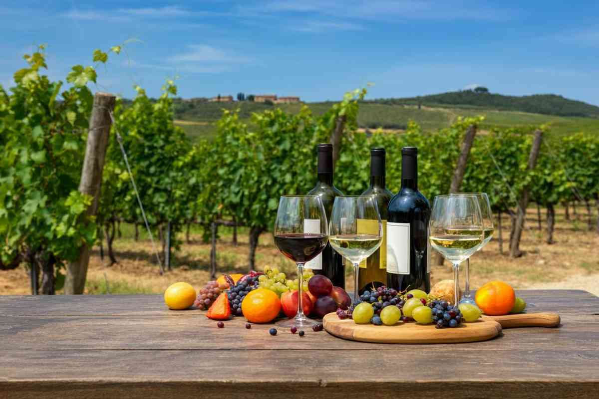 Marco Malvaldi: il vino come arte della diversità e della vita