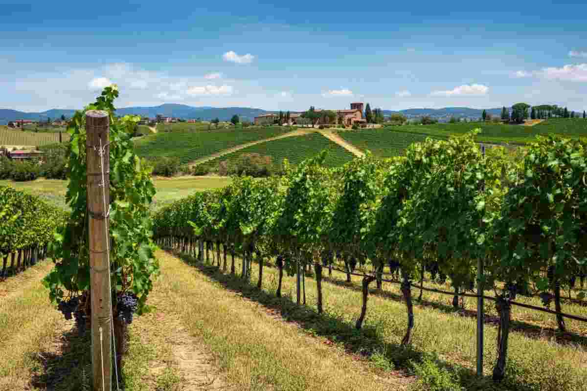 Matilde Poggi assume la presidenza della Fivi: una nuova era per il vino italiano