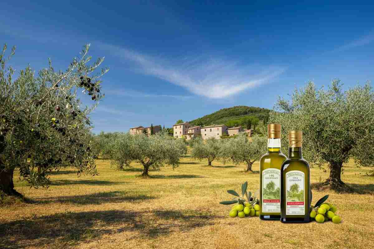 Olio d'oliva: scopri le Indicazioni Geografiche all'Evolio Expo