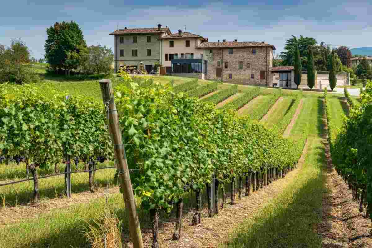 Progetti innovativi per Ca’d’gal al Vinitaly 2023