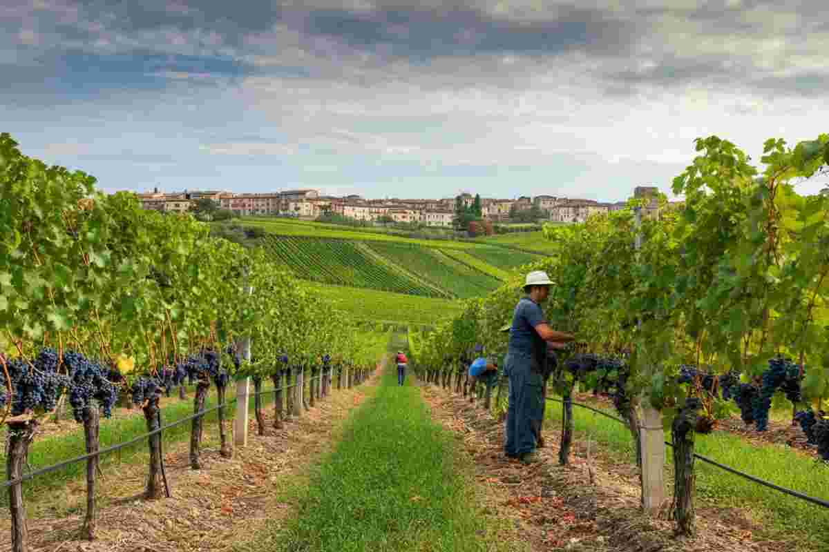 Prosecco Val d’Oca: un bilancio sorprendentemente positivo