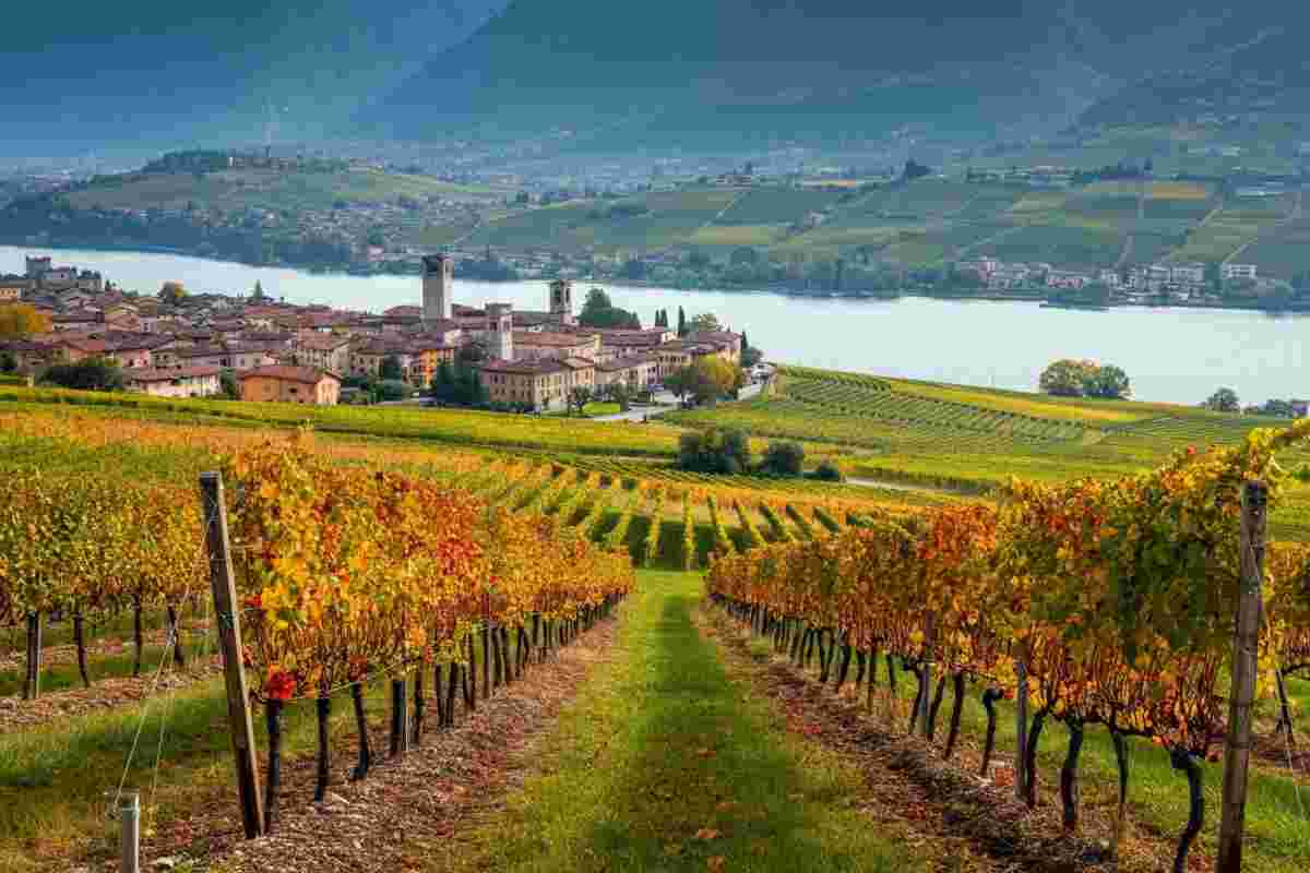 Provincia di Brescia: un viaggio tra vigneti, eventi e vini straordinari