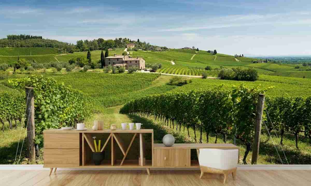 Renzo Tedeschi: il vino del Veneto raccontato in Sinfonia tra cielo e terra