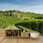 Renzo Tedeschi: il vino del Veneto raccontato in Sinfonia tra cielo e terra