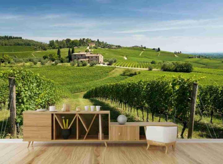 Renzo Tedeschi: il vino del Veneto raccontato in Sinfonia tra cielo e terra