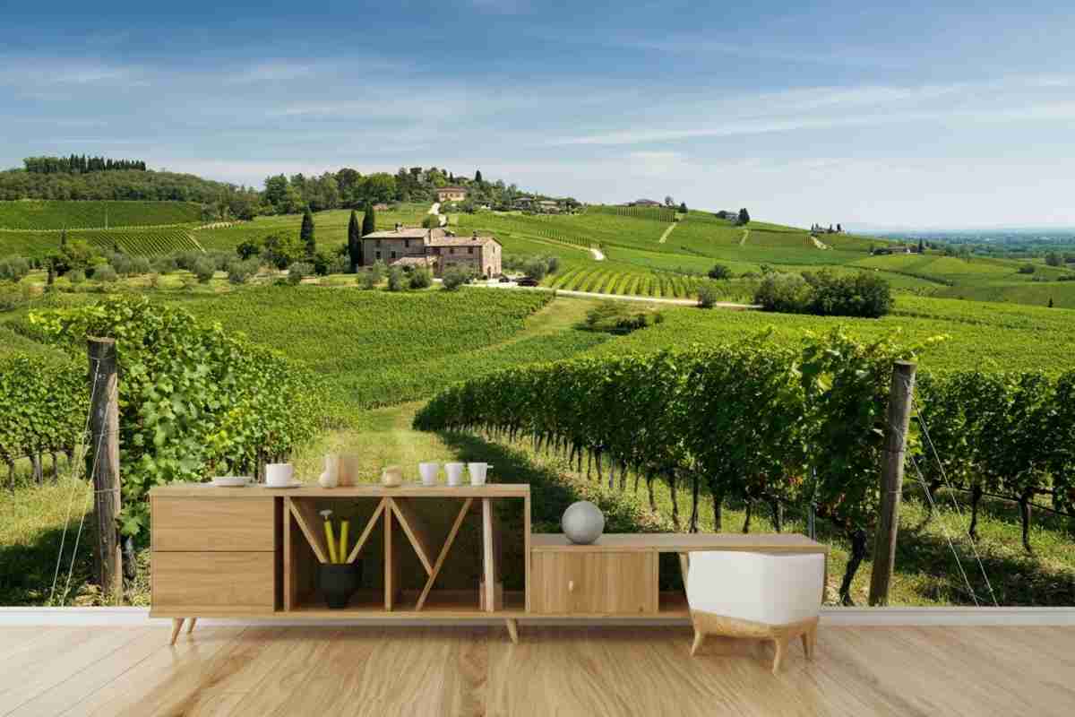 Renzo Tedeschi: il vino del Veneto raccontato in Sinfonia tra cielo e terra