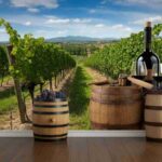 Riscoprire il vino italiano: la nuova strategia per valorizzare la cultura enologica