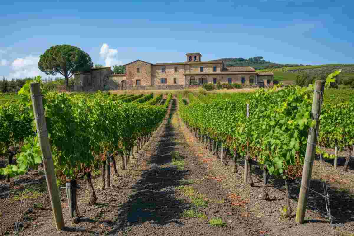 Roma DOC: nuove strategie per valorizzare il territorio e il suo patrimonio