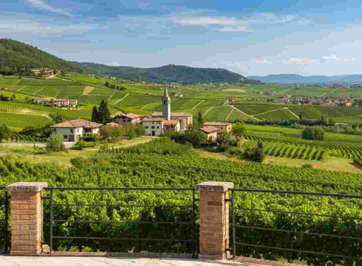 Scopri Valdobbiadene in un giorno: un'avventura con Col Vetoraz