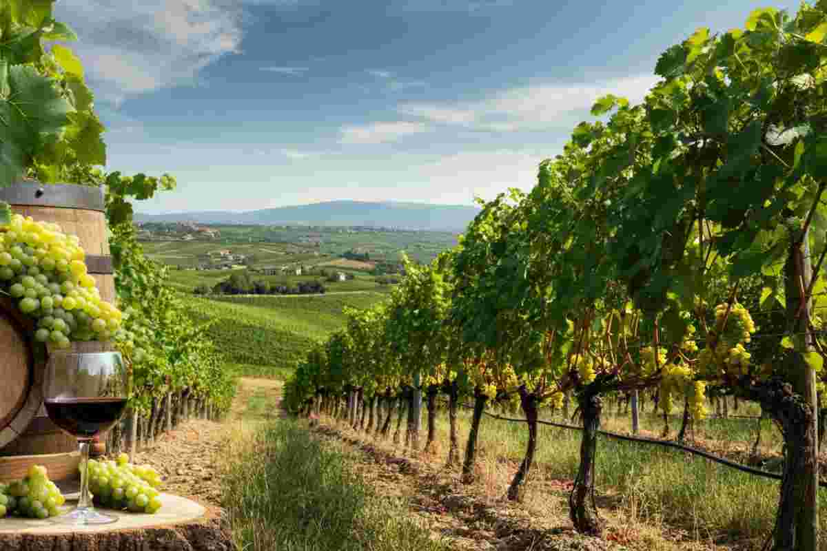 Scopri i vini d'Abruzzo al Simply Italian Europe Tour