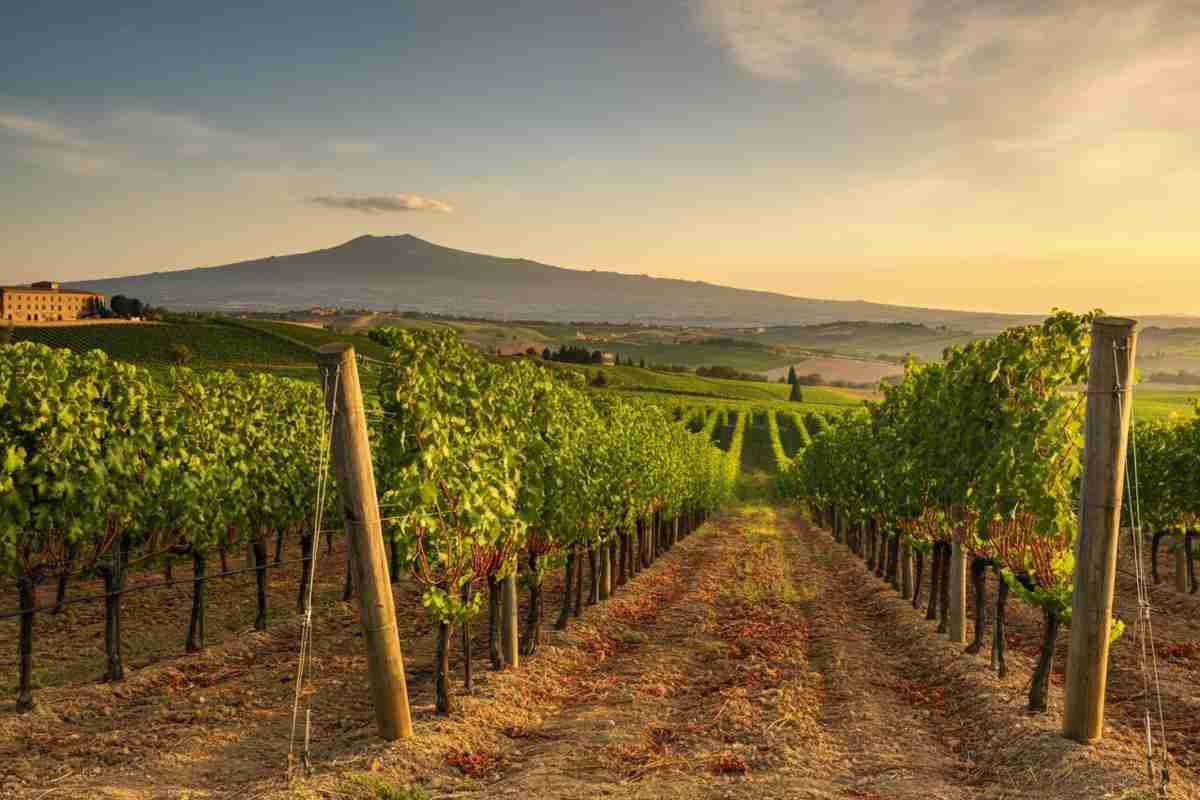 Scopri i vini d'Italia: l'anteprima dei Tre Bicchieri 2017 di Gambero Rosso