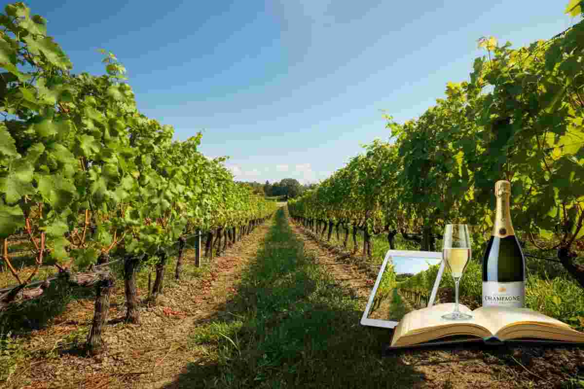 Scopri il corso online del Comité Champagne per diventare esperto di champagne