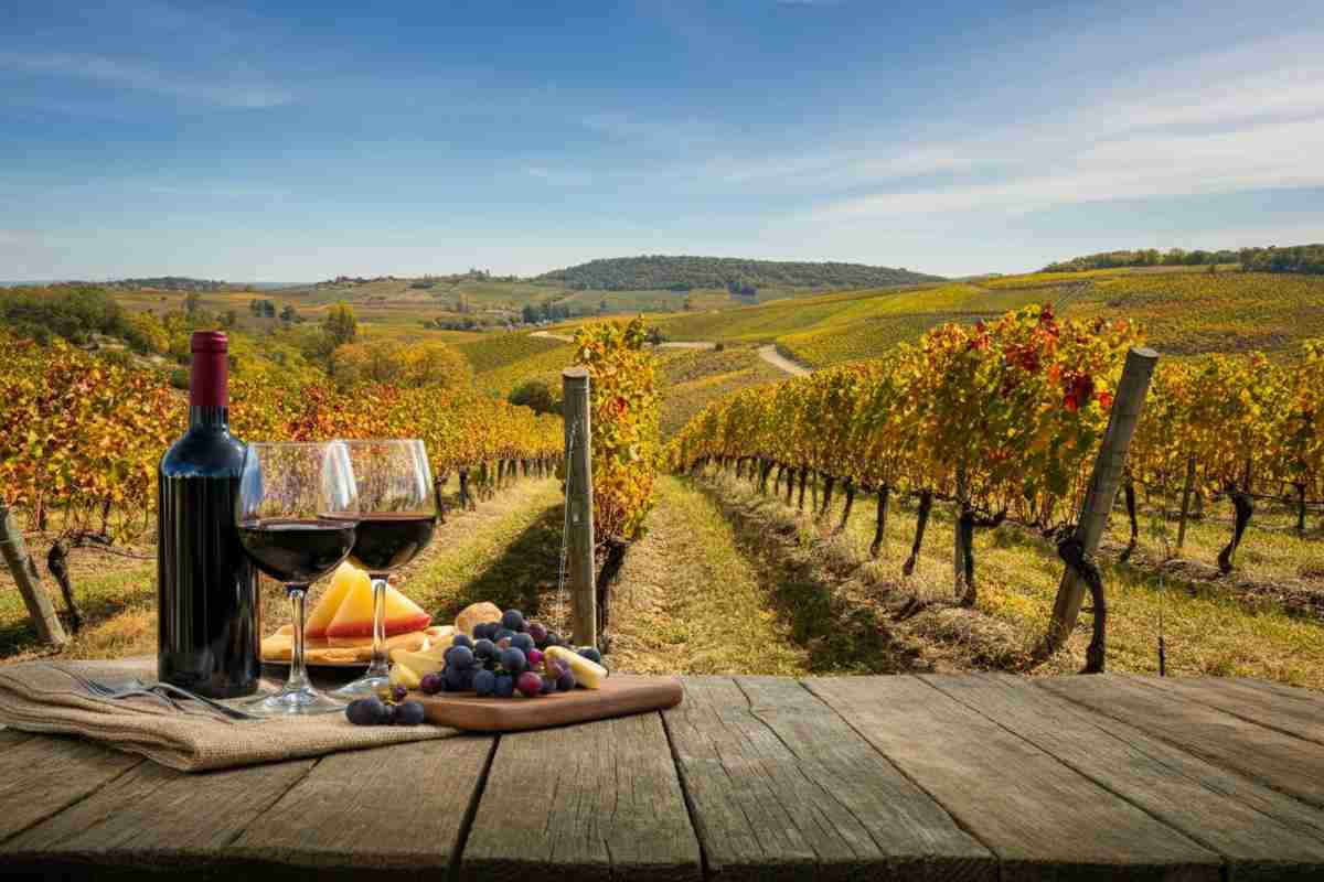 Scopri il nuovo mercato del turismo enologico in Italia