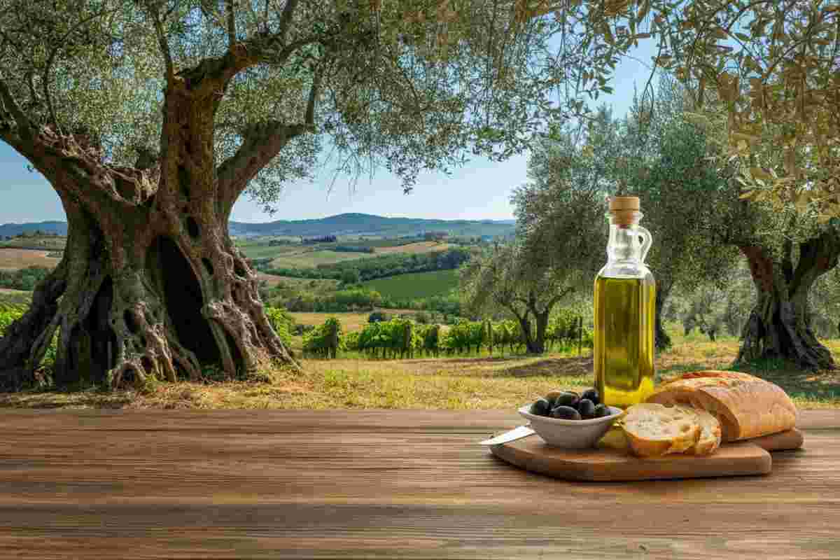 Scopri il segreto dell'olio extravergine di oliva monovarietale
