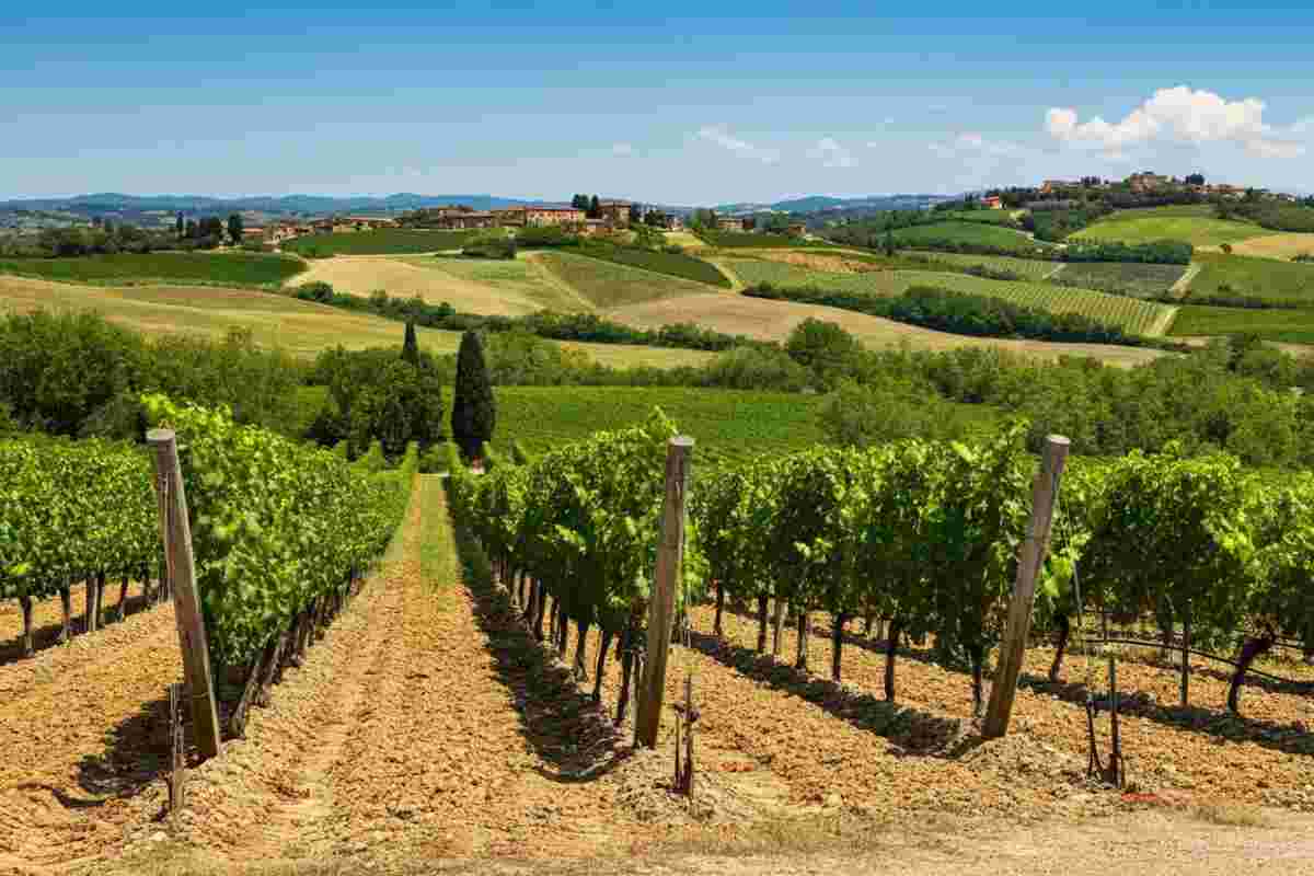 Scopri il tesoro di Montalcino: Baricci Colombaio Montosoli