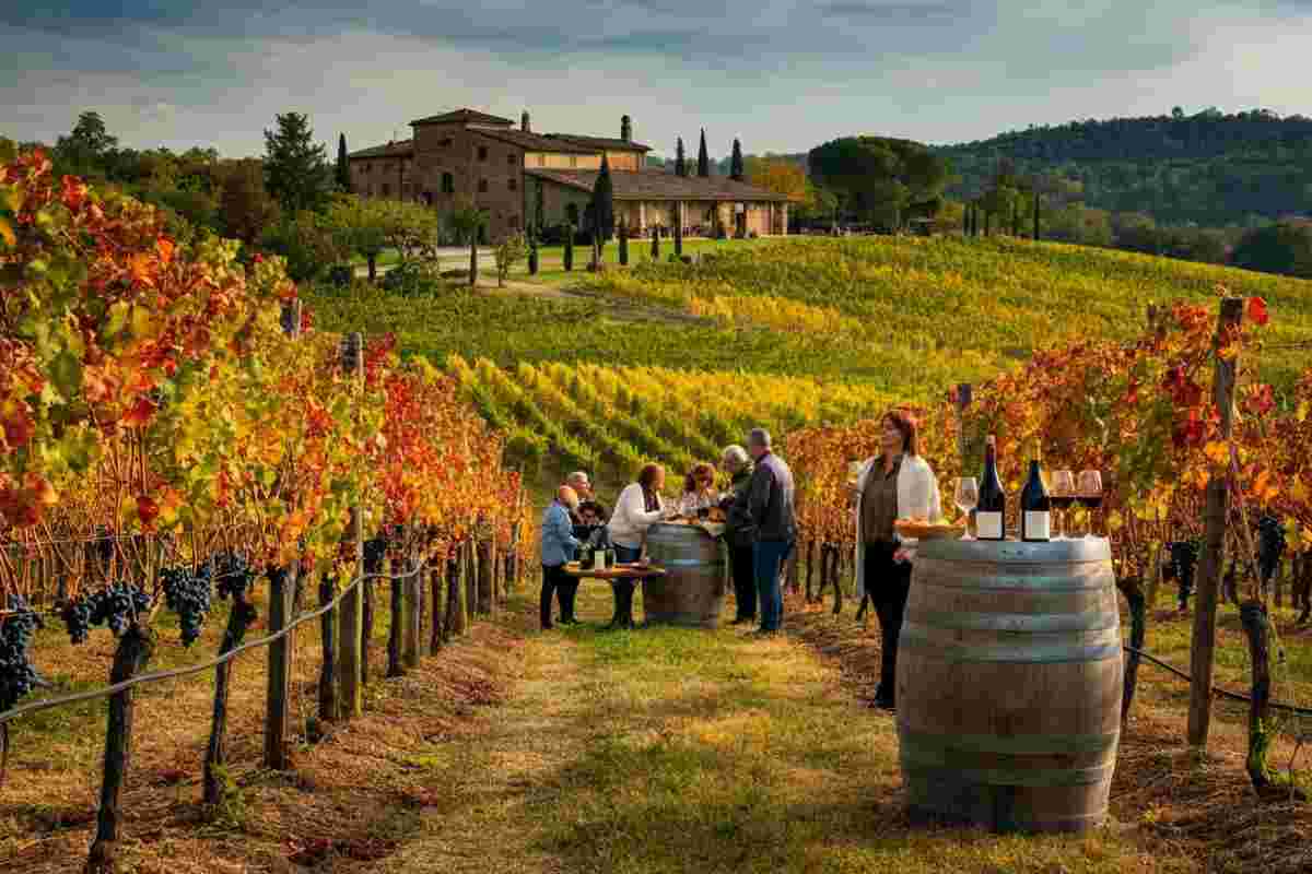 Scopri le cantine aperte a San Martino con Movimento Turismo Vino