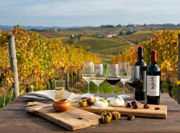 Scopri le differenze tra vino nuovo e vino novello alla degustazione di Aminea Winery