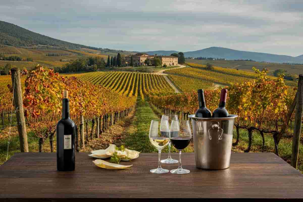 Scoprire il mondo dell'agricoltura biologica e del novello d'autore