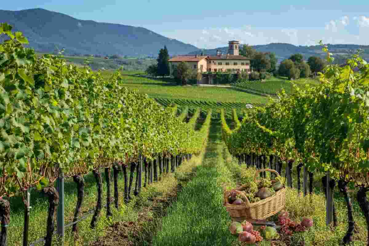 Tenuta Alois Lageder: un trionfo di riconoscimenti dalle guide eno-gastronomiche 2023