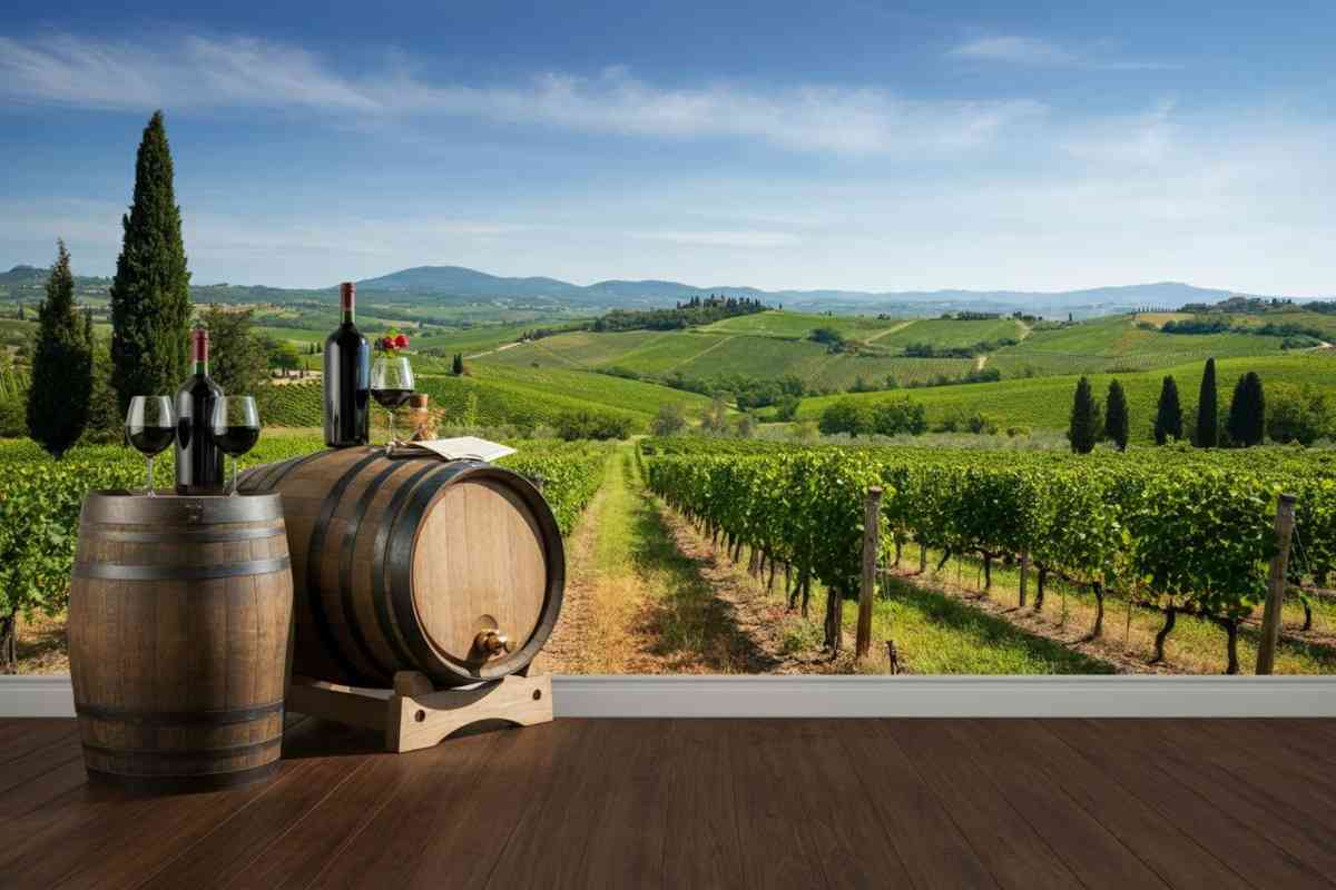 Tenuta Dodici: l'arte del vino tra le nuvole e la terra