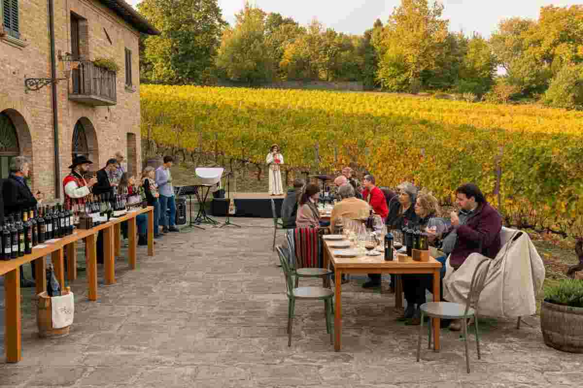 Territorio che resiste: un viaggio tra esposizioni e sapori da scoprire