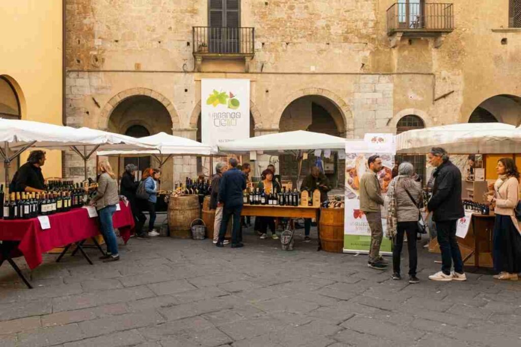 Trento accoglie il primo Festival del Vino Trentino: un viaggio tra sapori e tradizioni