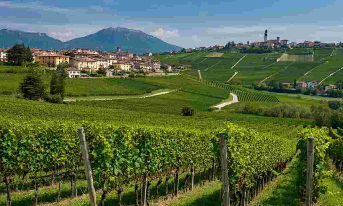 Un futuro sostenibile per Conegliano e Valdobbiadene: il manifesto che fa la differenza