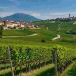 Un futuro sostenibile per Conegliano e Valdobbiadene: il manifesto che fa la differenza
