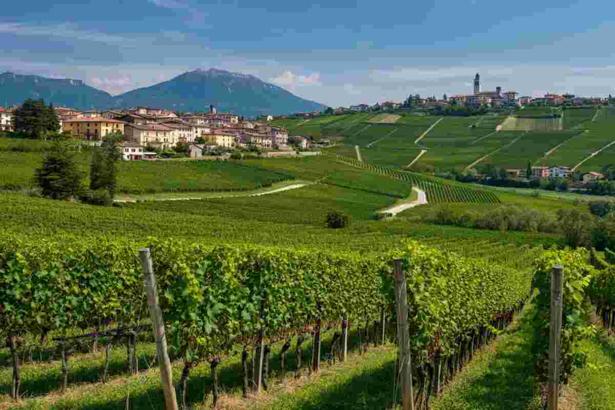 Un futuro sostenibile per Conegliano e Valdobbiadene: il manifesto che fa la differenza