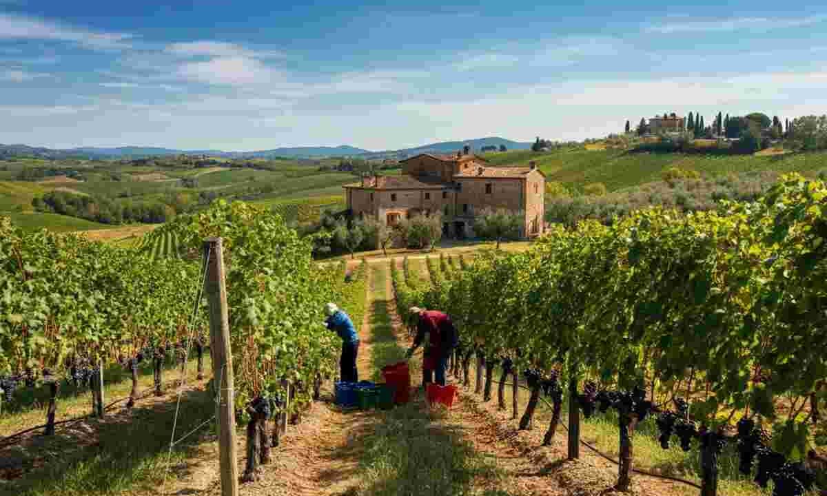 Un tavolo di confronto per rilanciare il vino italiano