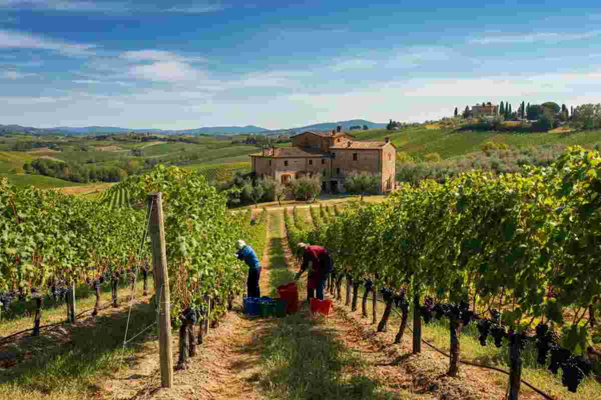 Un tavolo di confronto per rilanciare il vino italiano