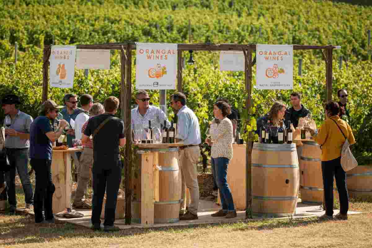 Villa Favorita 2018: il vino che non puoi perdere!