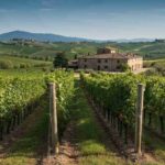 Vino e agricoltura italiana in allerta: la battaglia dei dazi Usa si riaccende prima del 7 agosto