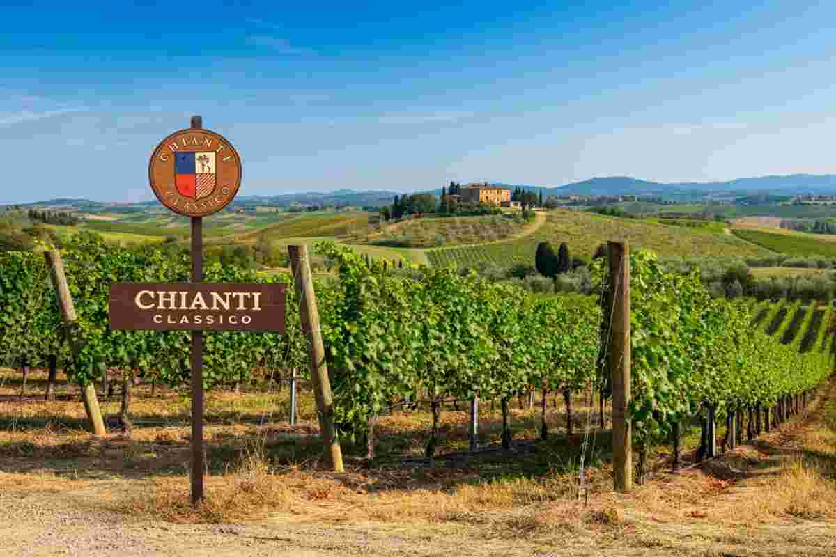 Zingarelli guida il Consorzio del Chianti Classico verso nuove sfide