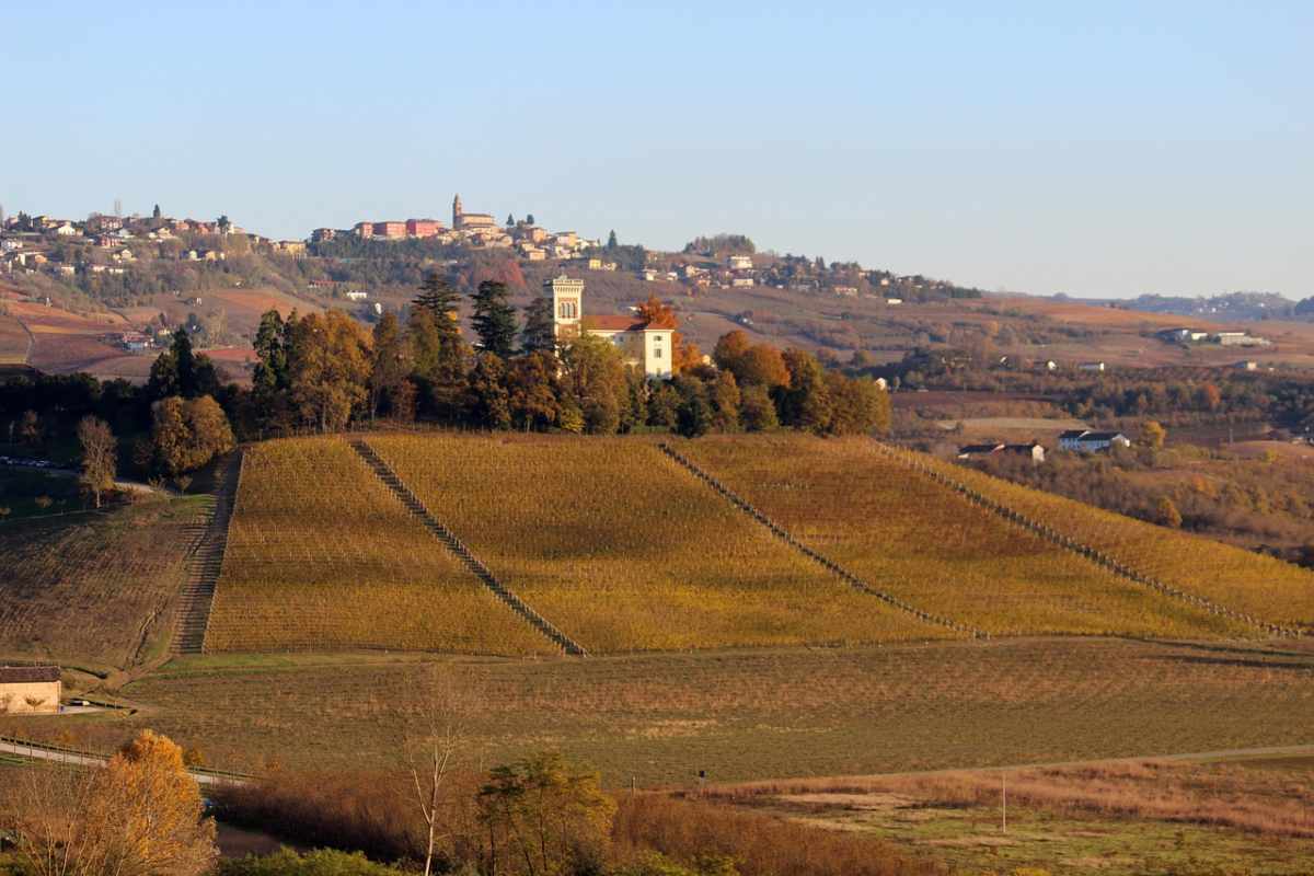 Vino e paesaggio.