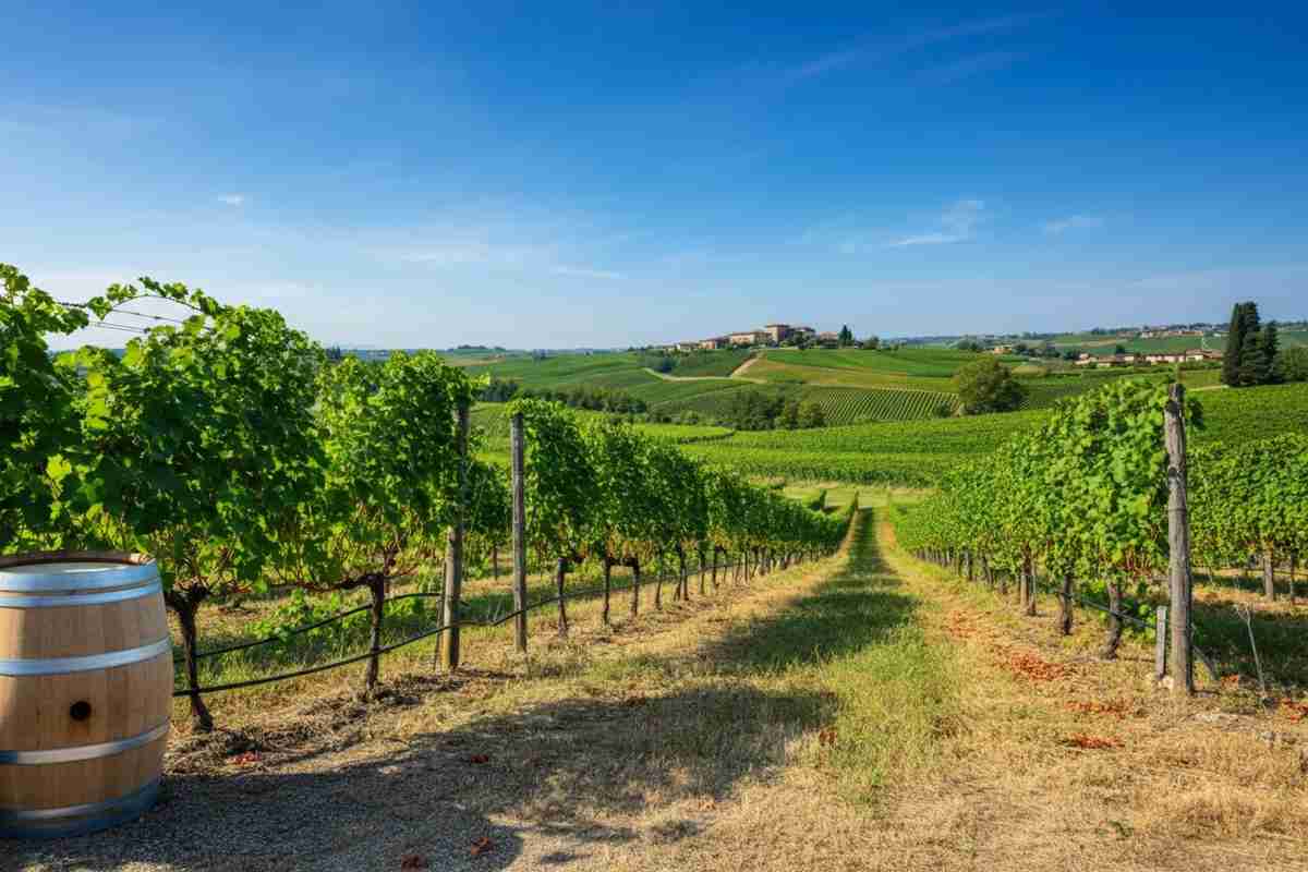 Bosco del Sasso si unisce al prestigioso Club del Buttafuoco Storico