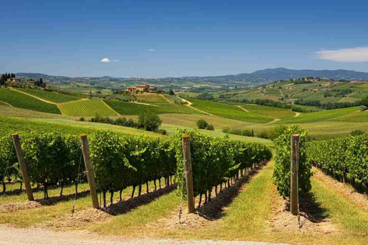 Brunello di Montalcino: tra scienza e tradizione, la storia di un territorio unico