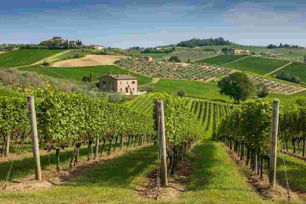 Cantina Maurizio Costa: un viaggio nel terroir di Modigliana a Vini ad Arte 2025
